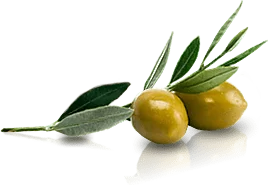 oliva